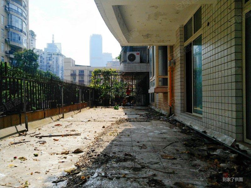 带花园 南北通透 板楼 产权清晰 带电梯 近地铁 交通便捷,碧云花园