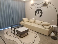 如皋如皋市政府市政府紫云花苑~3室2庁(新风 地暖 中央空调)精装修拎包入住出租房源真实图片