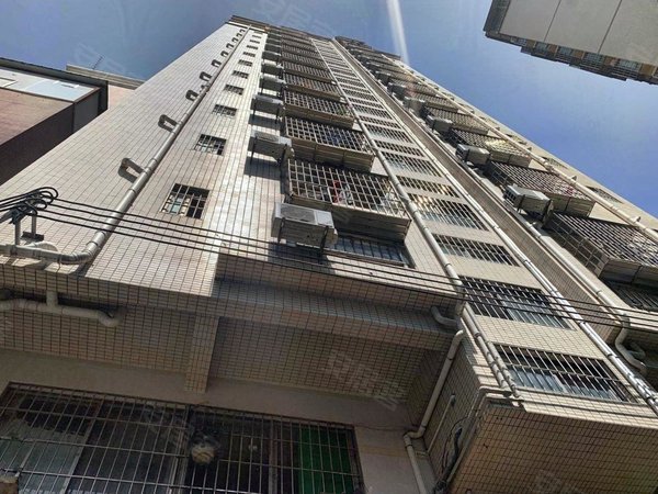 深圳宝安坪洲华侨新村西堤二巷29-1号小区公寓直租 民水民电有停车位