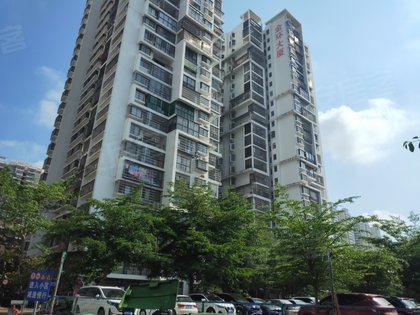 金环大厦,金鼎路 - 海口金环大厦二手房,租房,房价-海口安居客