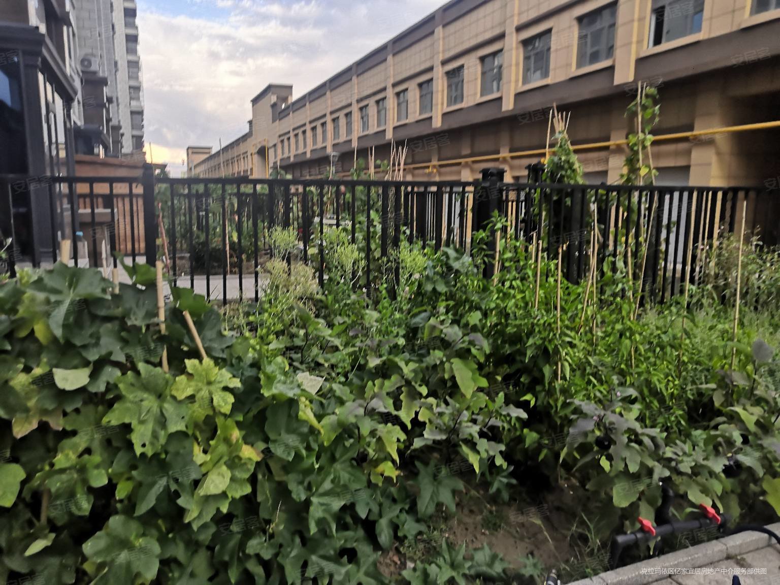 120万,鼎泰花园二手房,120万,3室2厅,2卫,126.9平米-克拉玛依安居客