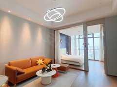 株洲天元工业大学新校区河西 尚格广场 C位 精装公寓 押一付一 随时看房出租房源真实图片