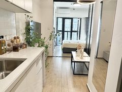 岳阳岳阳楼商业步行街非中介 北辅街 百盛 德胜北路 十二兽 轻奢风 拎包入住出租房源真实图片