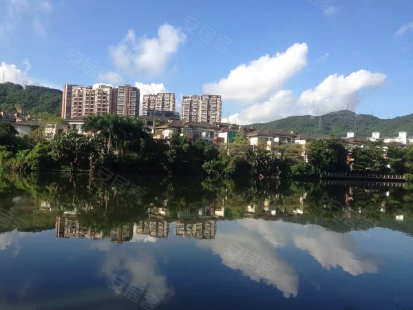 深圳龙华梅林关口星河丹堤星河丹堤e区158平5房,朝南看山景,红木家私