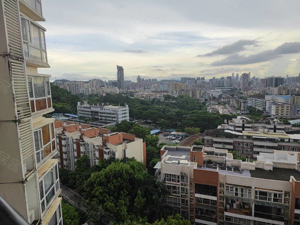 深圳布吉慢城中海怡瑞山居布吉慢城 中海怡瑞山居 精装客厅出阳三房