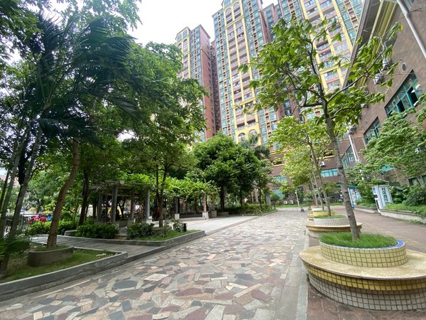 广州黄埔文冲东港花园黄埔区 地铁口 东港花园 精装 电梯 两房 全齐
