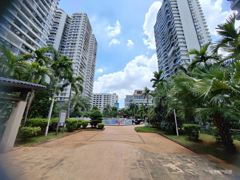 国贸商圈龙华路椰岛广场五房二厅豪华装修拎包入住