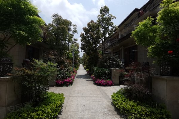 碧桂园中铁天麓一号(别墅)