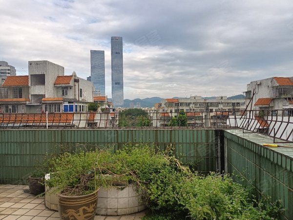 深圳福田莲花村长福花园莲花村4房113平租金7600带大露台,出租房源