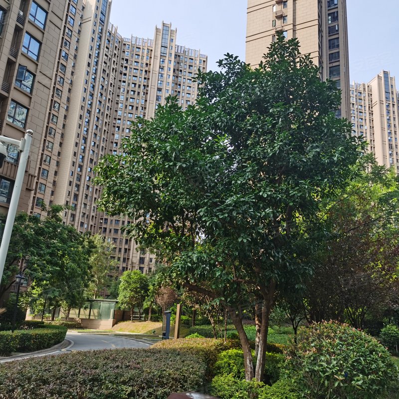 【百步亭现代城四区, 百步亭现代城四区小区详情,房价走势,房源,业主