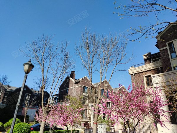 天津武清大王古庄镇凤河孔雀城孔雀城 南北通透大两居 出租 自住标准