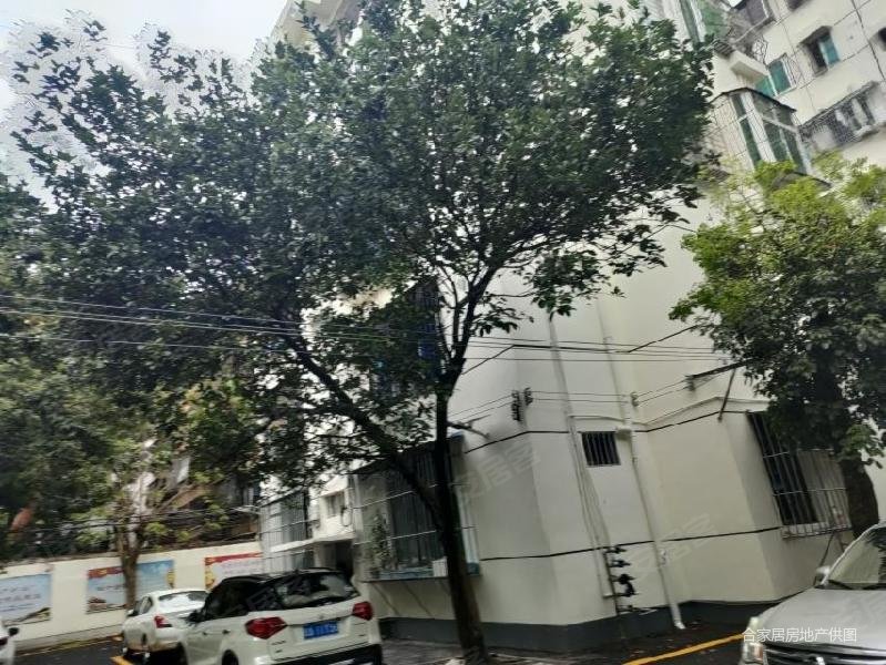 义龙路商圈侨汇公司宿舍3房精装修