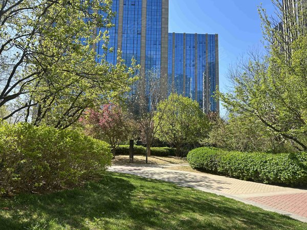 北京大兴生物医药基地珺悦国际珺悦国际 3居室 空房出租 看房有钥匙