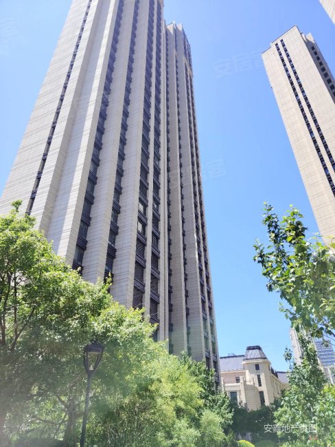 大连房产网>大连二手房>中山二手房>东港二手房>紫御东方>488_650竖版