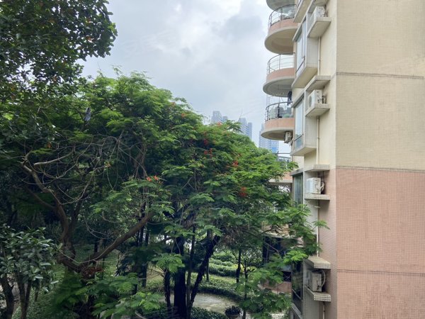 【多图】南沙滨海花园,金洲租房,南沙滨海花园精装三房两卫东南向望