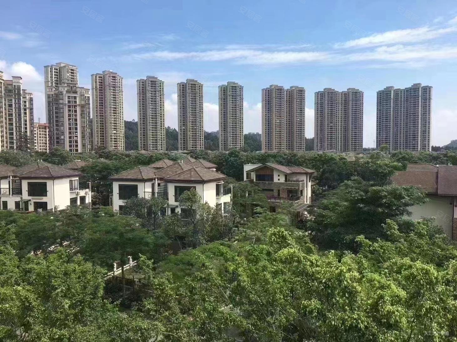 常平万科城(别墅)4室2厅3卫210㎡南北705万