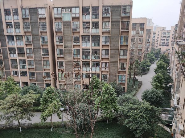 重庆铜梁铜梁城区美丽泽京品质小区,房屋配套,成熟,房东叔叔好说话.