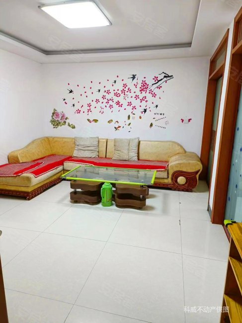 一楼 带个大车库 市中心位置 不挡不冲 带所有家具家电,瑞晟玺景园