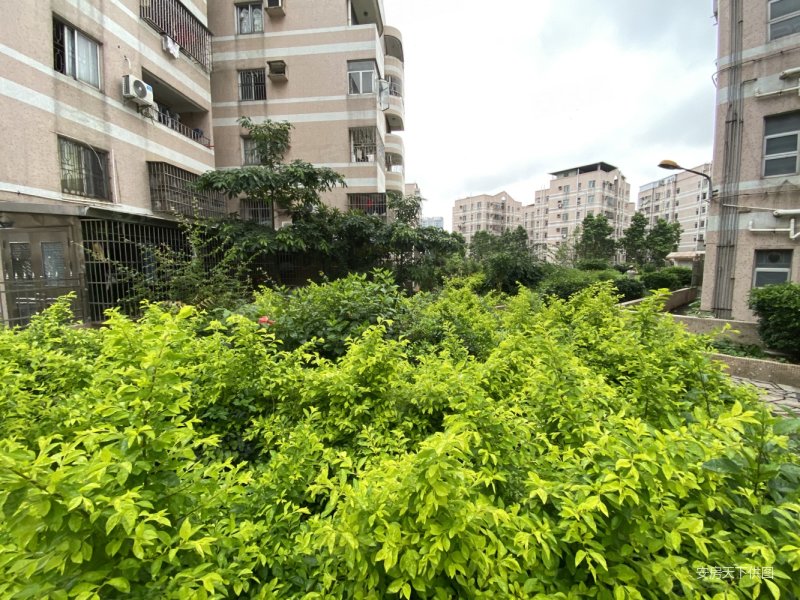 东莞房产网>东莞二手房>樟木头二手房>樟木头中心区二手房>帝都花园