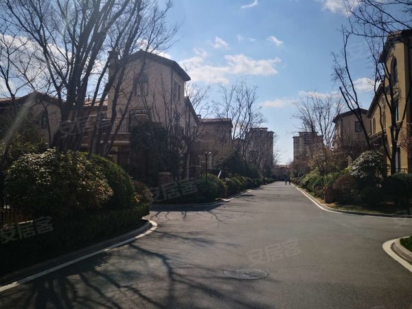 青岛城阳流亭龙湖滟澜海岸(16号别墅)龙湖一期类独栋,豪华装修,225平