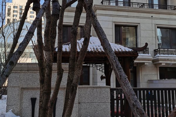 不足,外滩首府怎么样,外滩首府周边房产中介经纪人评价-哈尔滨安居客