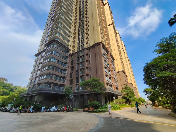 深圳罗湖红岗花园银湖半山罗湖图书馆!实地拍摄!跑马阳台!空气清新!