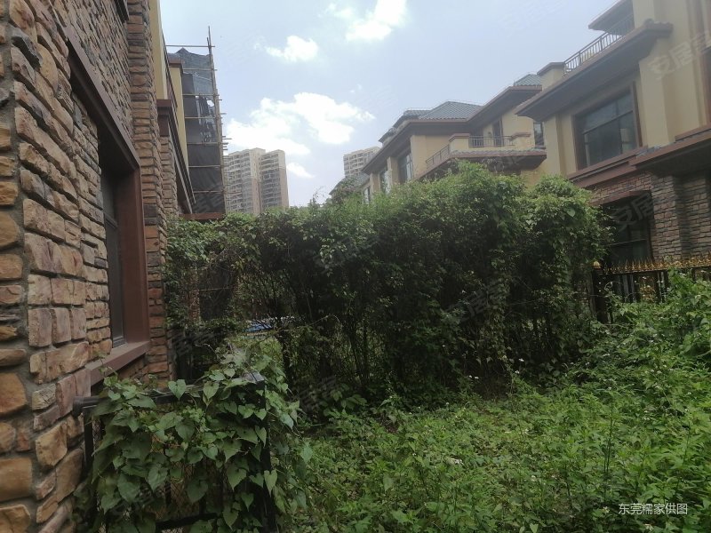 东莞房产网>东莞二手房>塘厦二手房>新行政中心二手房>御城花园(别墅)