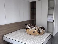 商丘夏邑孔祖大道可年租月付边户出租,家具家电齐全,全天采光充足,家具家电齐全出租房源真实图片
