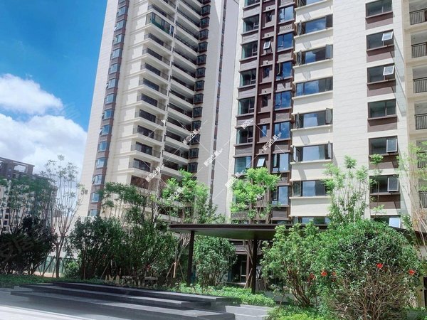 【多图】红星天悦,大学城租房,红星天悦两室精装修出租可随时看房