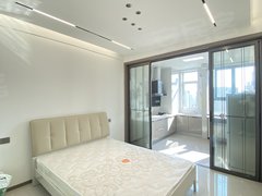 南阳宛城新市政府真实现房 新15小 万悦城隔壁精装1室 龙达新天地出租房源真实图片