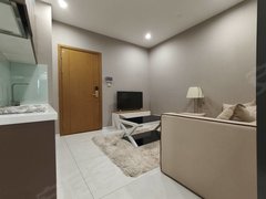 湖州南浔浙北大厦区政府旁，金象湖公园旁，广弘华美达公寓，中央空调，夜景特别美出租房源真实图片