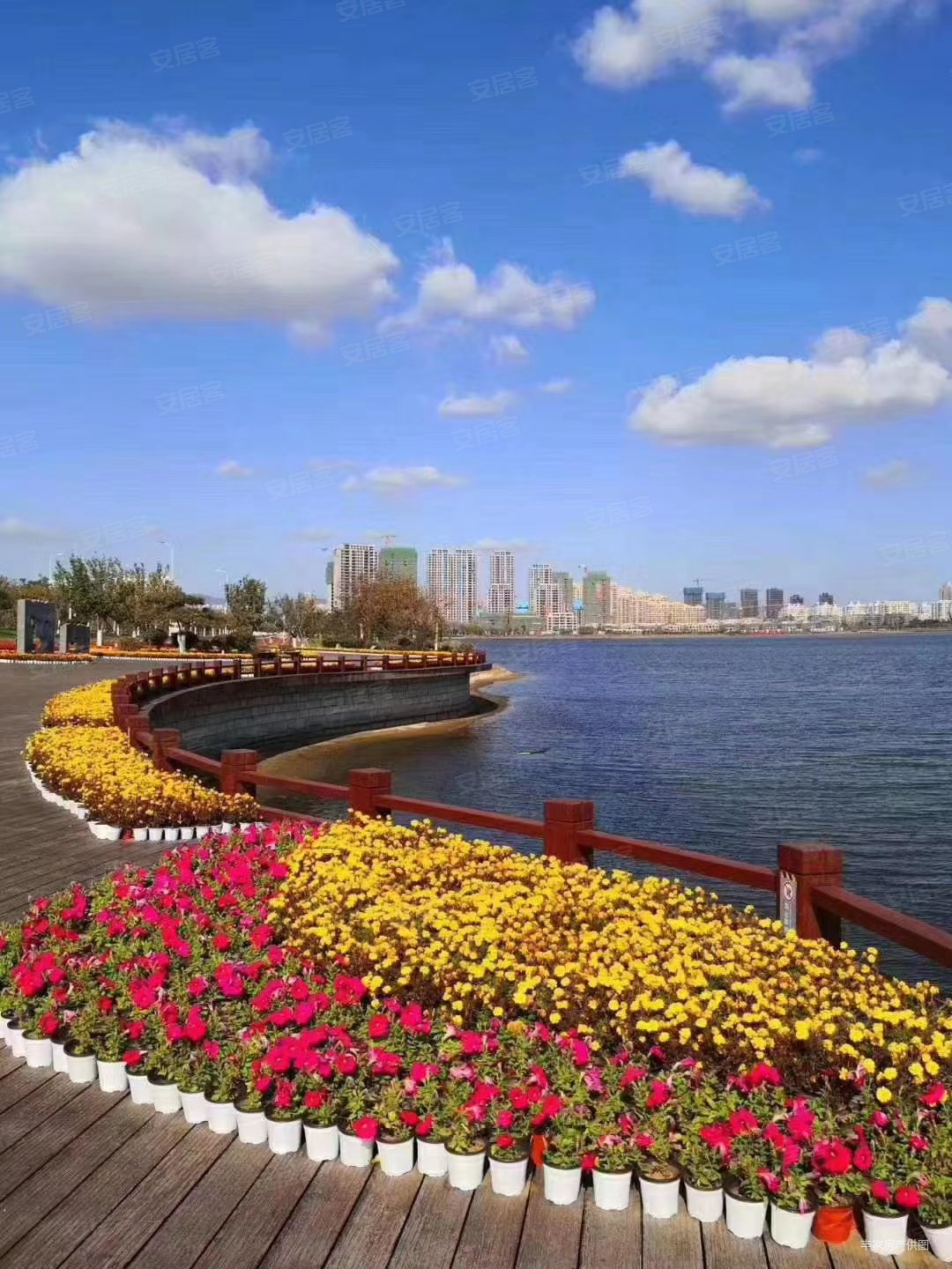 万亩黑松林,长青海世界(商住楼)二手房,66万,2室2厅,1卫,82平米-荣成