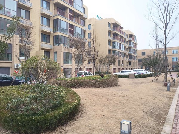 青岛莱西望城梦想望城拎包入住!梦想望城晨园 精装修出租房源真实图片