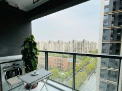 上海普陀长寿路武宁路路地铁口 单室套 押一付一 豪华装修出租房源真实图片