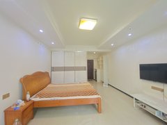 武汉黄陂汉口北汉北广场(商住楼) 1室1厅1卫 采光好 精装修出租房源真实图片