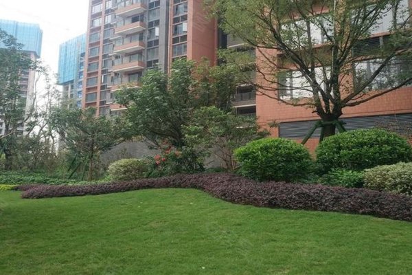 好不好_中介房产经纪人:甘北强对新鸿基泷景(八期)的评价-佛山安居客