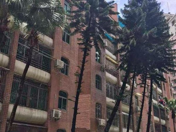 深圳南山白石洲祥祺花园白石洲地铁口,祥祺花园大三房,可宿舍合租