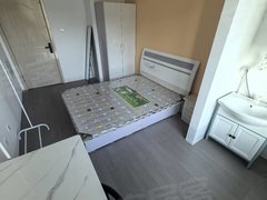 银川贺兰朔方北街押一付一功达二手车，德胜工业园，奔驰各4s店附近公园悦府出租房源真实图片