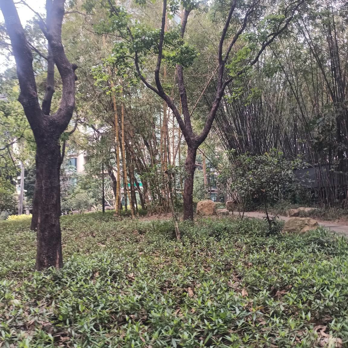 蔚蓝星湖南向三房满五 无欠款,蔚蓝星湖(公寓住宅)二手房,163万,3室2