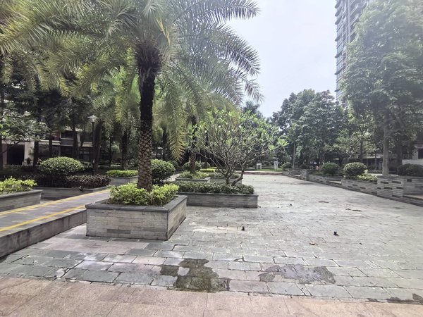 【多图】雅居乐锦城花漾集,新区租房,哇!