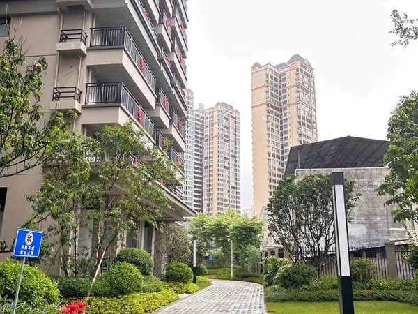 南宁横县横县城区龙鼎花园龙鼎花园,单间,诚心出租出租房源真实图片