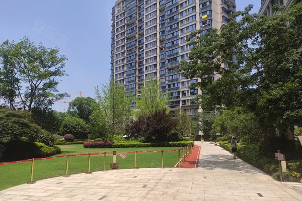 好不好_中介房产经纪人:陈银磊对新湖青蓝国际的评价-上海安居客
