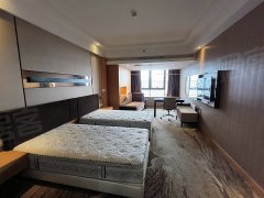 佛山顺德龙江奥斯汀公寓  温馨单间 家私家电齐全 拎包入住出租房源真实图片