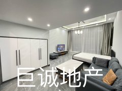 城西 海湖新区 唐道万达 唐府公寓 一室一厅LOFT