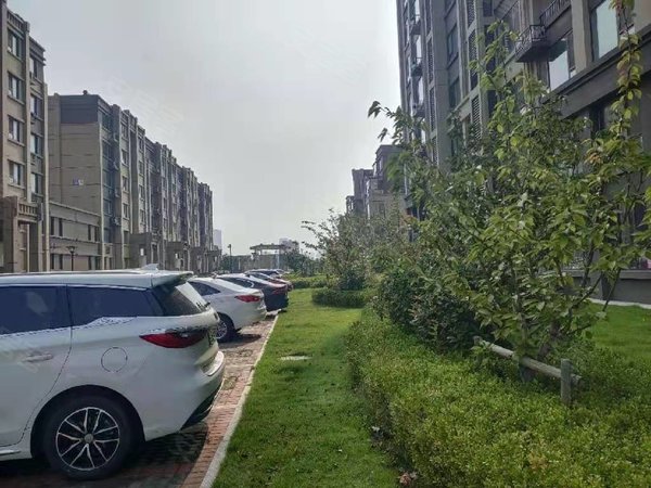 【多图】银盛泰星海城二期,隐珠租房,星海城二期灵山湾瑞城套二家具