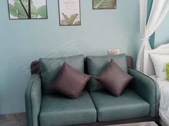 文山文山市新市医院城北七花广场附近单身公寓家具家电齐全！拎包入住！出租房源真实图片