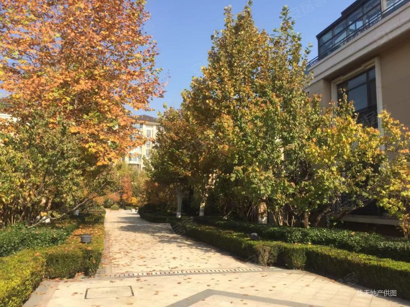 业主诚售 温泉入户 开启私汤生活 精装大平层,春晖园随园二手房,768万