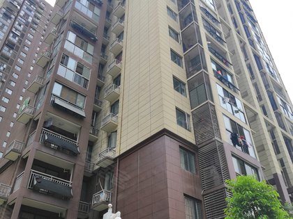 左岭社区人口_社区人口普查照片(3)