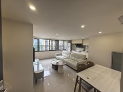 宜宾翠屏西郊理想城 一中旁边  正对江景出租房源真实图片