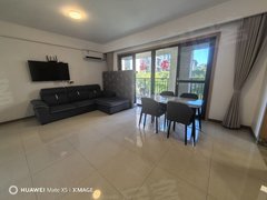 西双版纳景洪嘎栋东北街 曼陀香缇 南北通透正规一室一厅 可短租出租房源真实图片